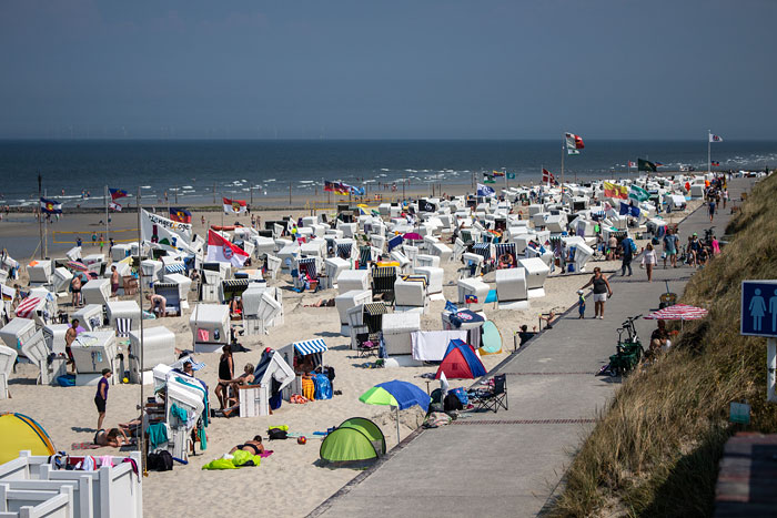 Strandk&ouml;rbe im Mittelfeld