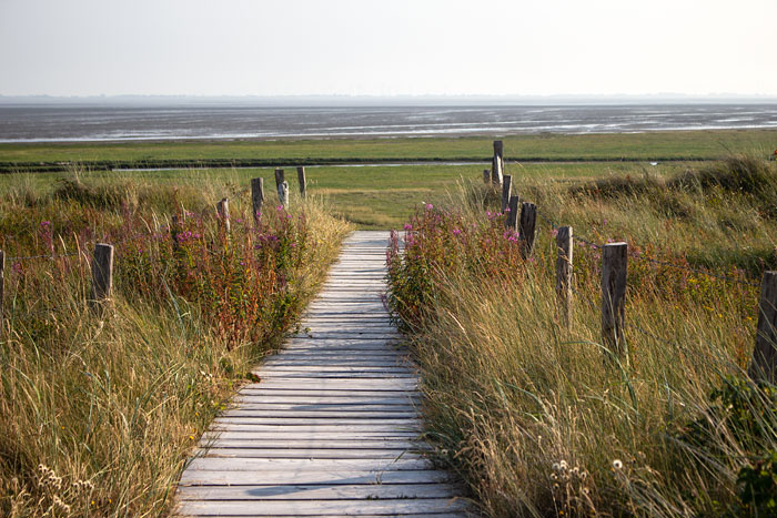 Auf der D&uuml;nen&uuml;berwegung