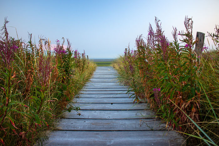 D&uuml;nen&uuml;berwegung Ost I