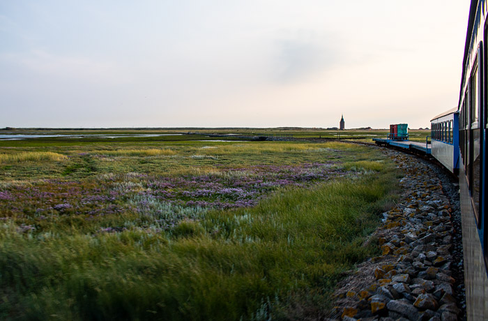 Fahrt durch den Nationalpark
