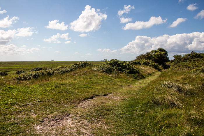 D&uuml;nenweg im Osten
