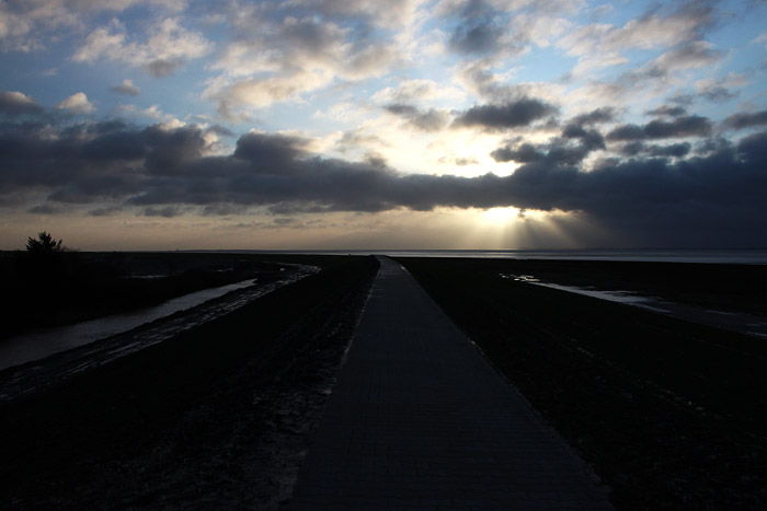 Ostgrodendeich am Morgen