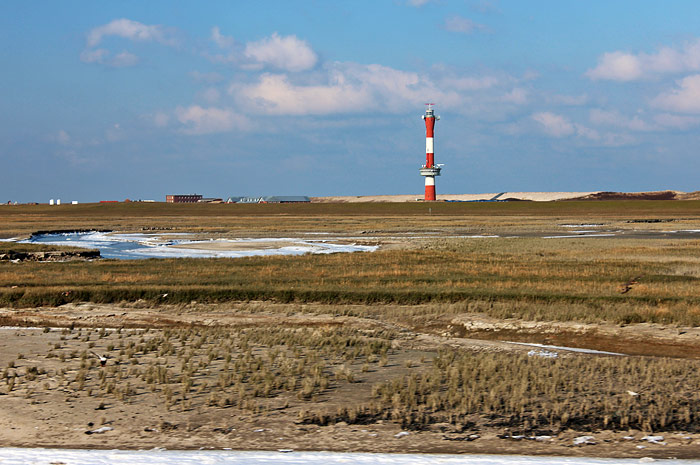 Salzwiesen des Westau&szlig;engrodens
