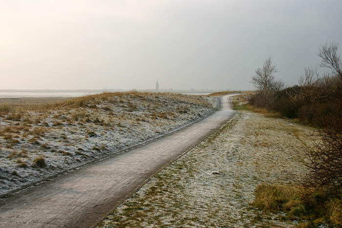 Rauhreif auf dem S&uuml;ddeich