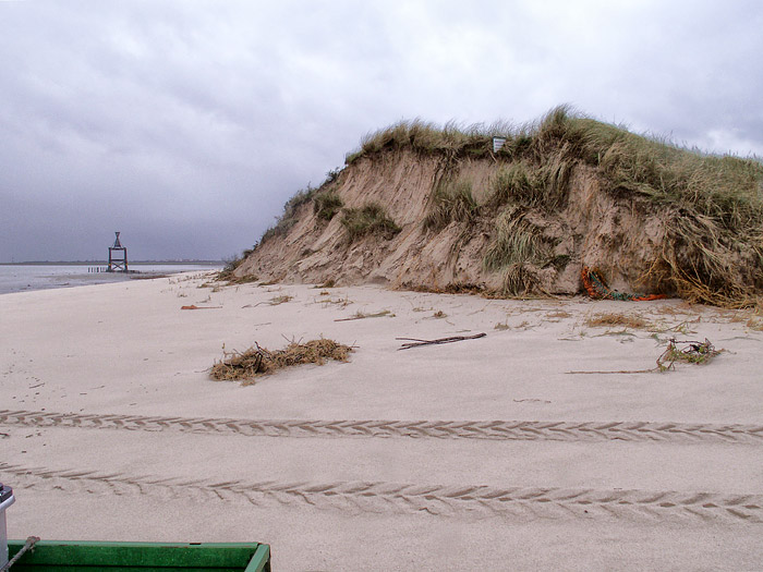 Abbruchkante an den Ostd&uuml;nen