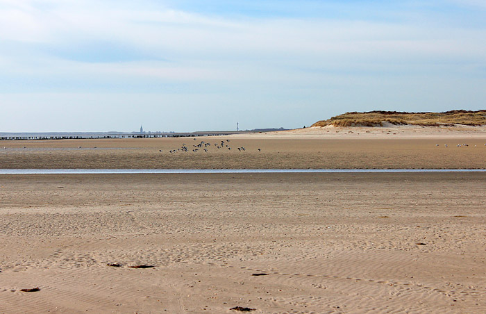 Oststrand und -d&uuml;nen