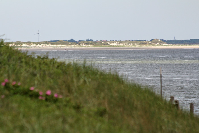 Spiekerooger Dünen und Leuchtturm Norderney