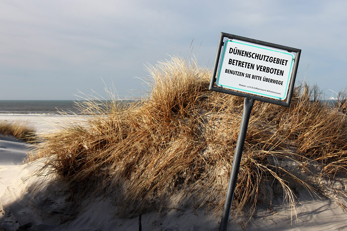 Wangerooger Wei&szlig;d&uuml;nen