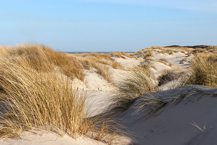 Wei&szlig;d&uuml;nen-Landschaft im Osten