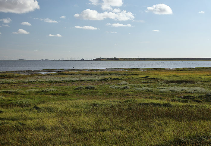 Inselbahnfahrt durchs Deichvorland