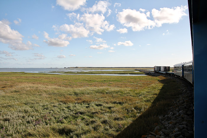 Bahnfahrt durch die Salzwiesen