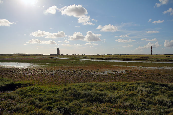 Salzwiesen im Westau&szlig;engroden