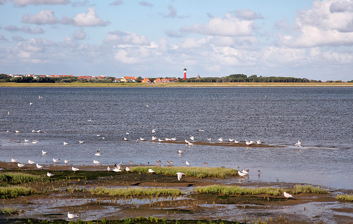 Dorf vom Zug aus gesehen