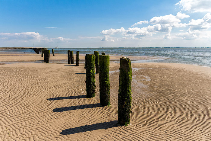 Pf&auml;hle im Osten