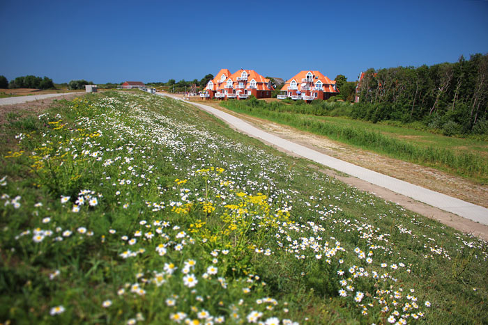 Westlicher Dorfgrodendeich