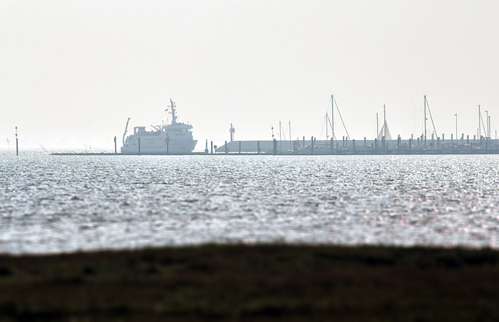 MS Harlingerland am Westanleger