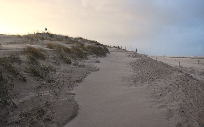 D&uuml;nen&uuml;berwegung Neudeich