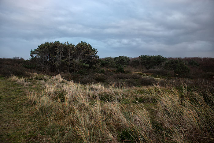 Braund&uuml;nen-Landschaft