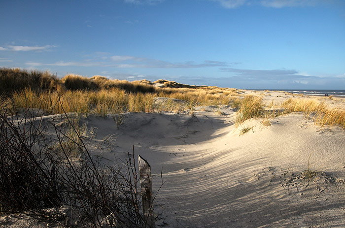 Vord&uuml;nen im Osten