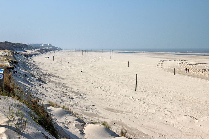Holzpfähle am Strand