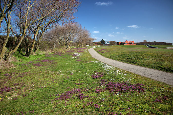 S&uuml;ddeich bei der ehemaligen M&uuml;llkippe