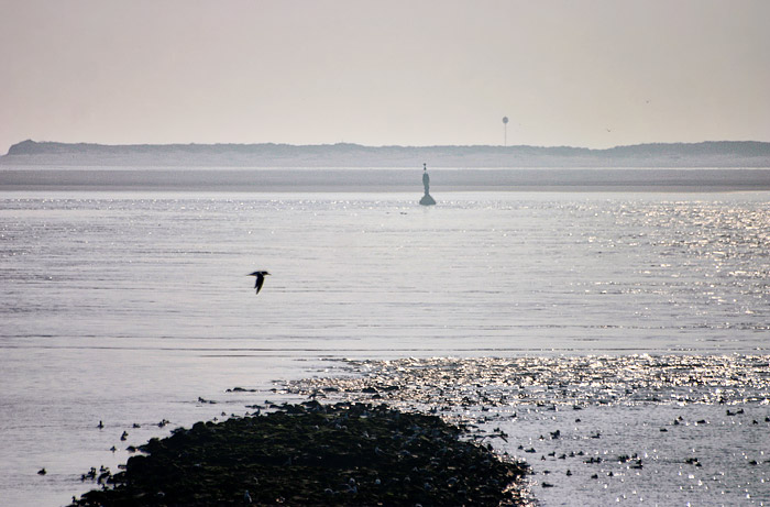 Blick aufs Spiekerooger Ostende