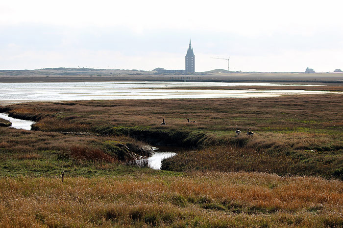 Salzwiesen des S&uuml;derhellers