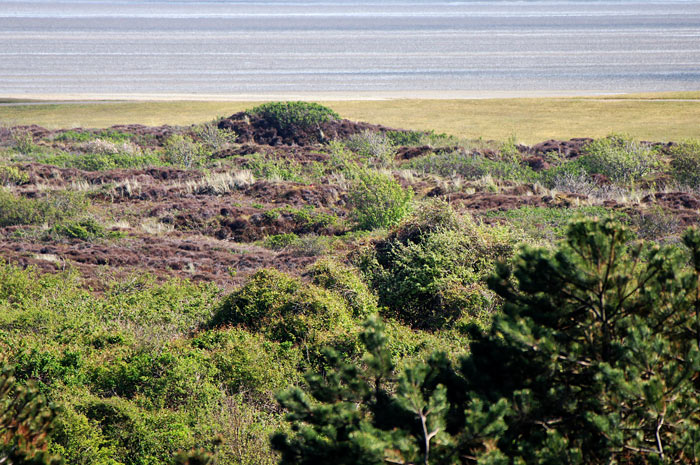 Heided&uuml;nen und S&uuml;ddeich