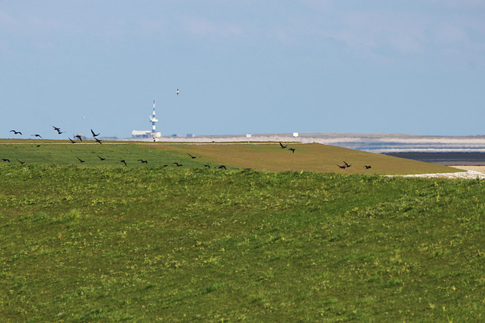 Dorfgroden- und Ostgrodendeich