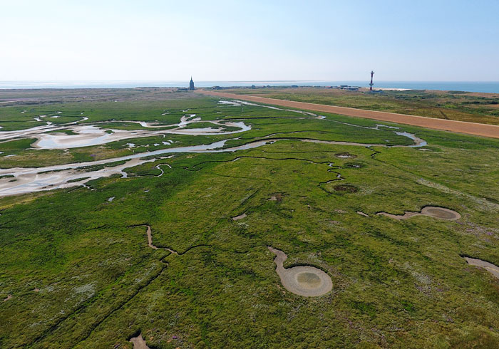 Westaußengroden mit Lagune