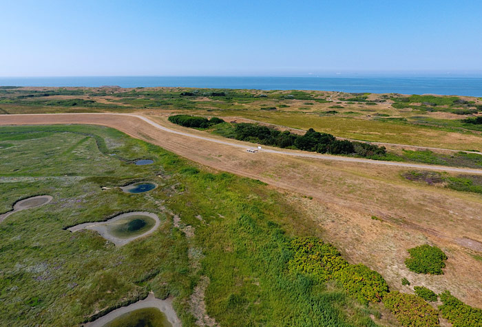 Deichvorland und Deich