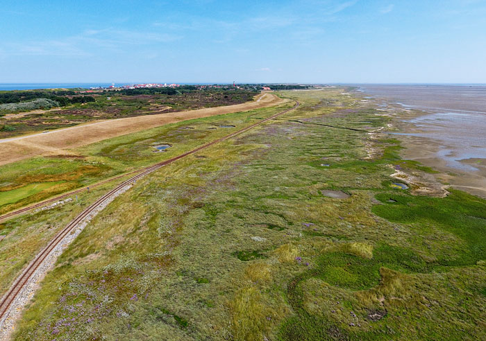 Deichvorland mit den Salzwiesen