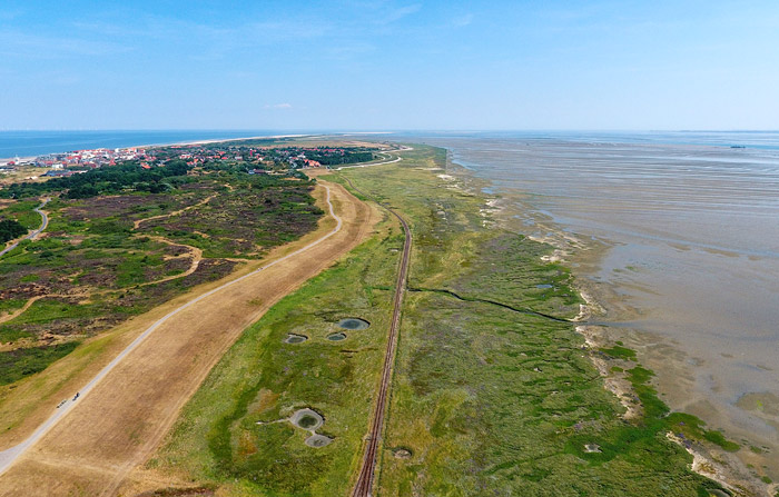 Salzwiesen des S&uuml;derhellers