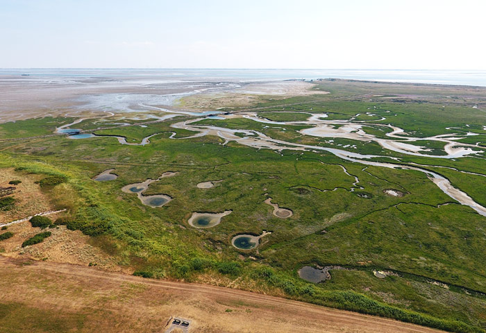Lagune im Westaußengroden