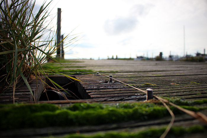 G&auml;stesteg des Yachthafens im Detail