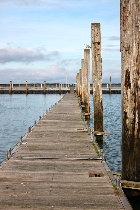 G&auml;ste-Schwimmsteg am Westanleger