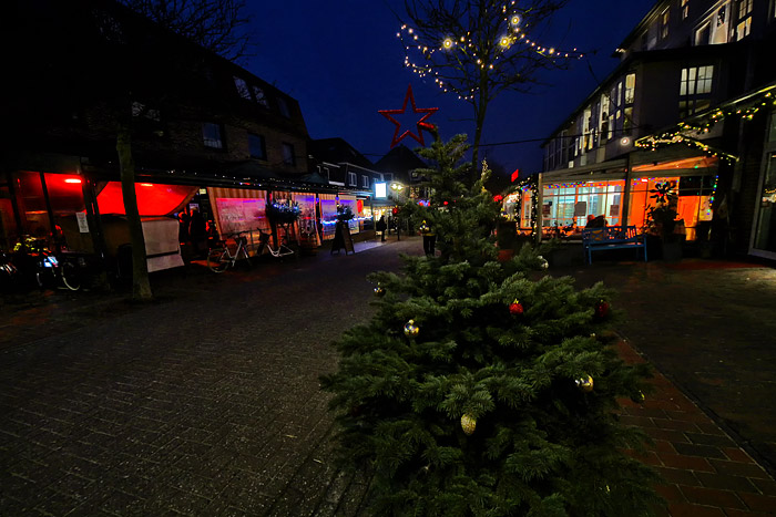 Weihnachtsbaum in der Zedeliusstra&szlig;e