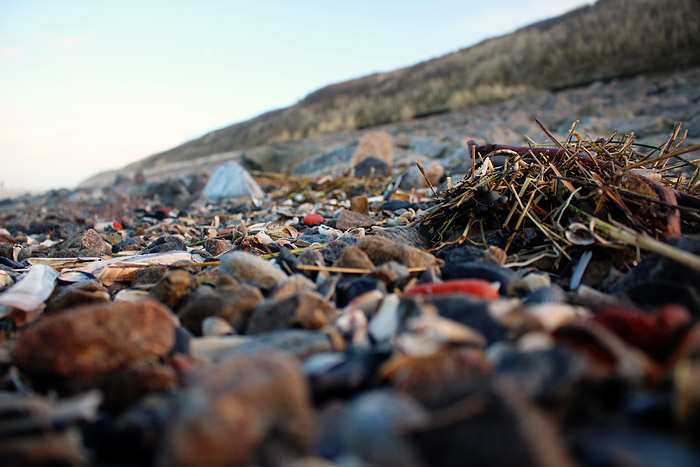 Sp&uuml;lsaum vorm Norddeckwerk