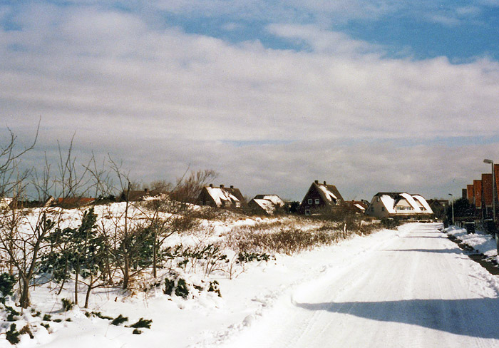 Siedlerstra&szlig;e im Schnee