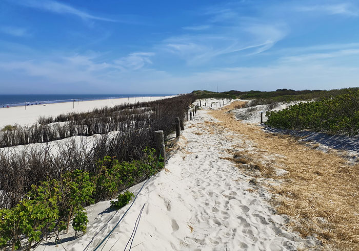 D&uuml;nenweg in den Nordostd&uuml;nen