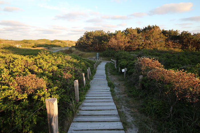 D&uuml;nen&uuml;berwegung Saline