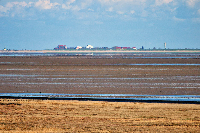 Wattblick nach Schillig