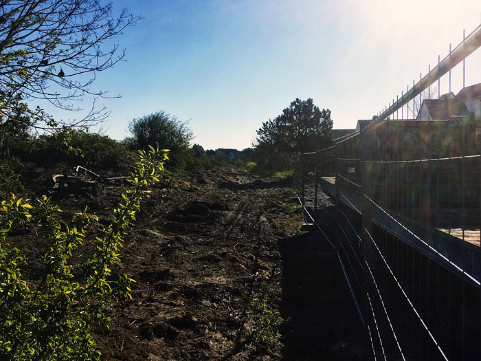 D&uuml;nen an der Siedlerstra&szlig;e