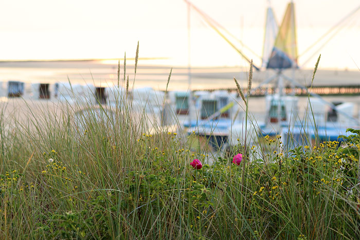 D&uuml;nen an der Strandpromenade
