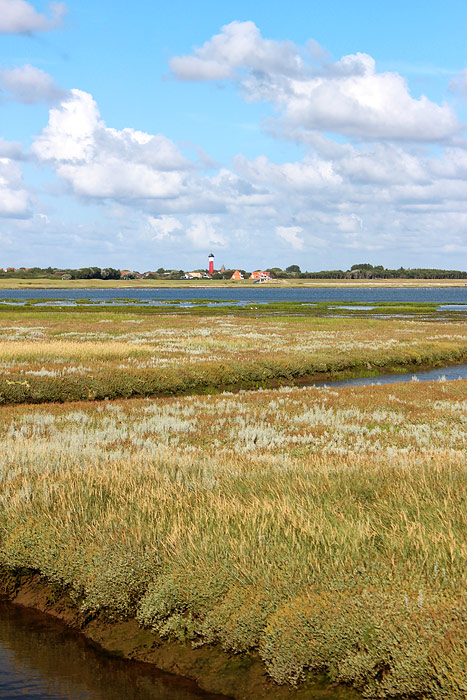 Salinebucht vom Zug aus gesehen