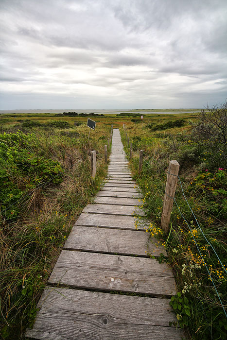 &Uuml;berwegung in den Nordwestd&uuml;nen