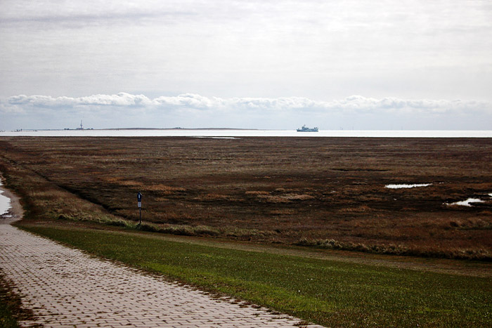 Ostaußengroden von Neudeich aus gesehen