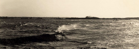 Bruchstelle im Dorfgrodendeich