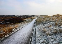 Reif am D&uuml;nendeich
