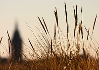 Westturm und D&uuml;nengras
